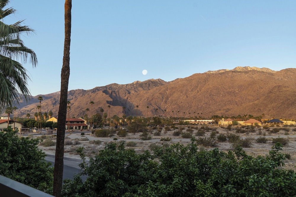 Courtyard By Marriott Palm Springs - photo 14