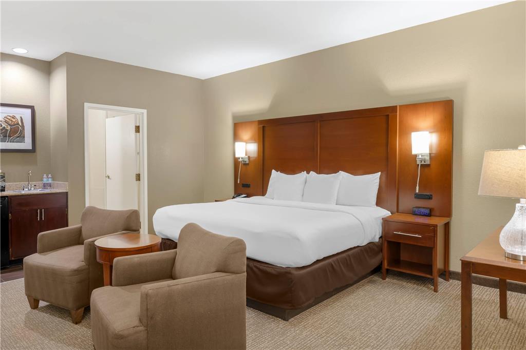 Comfort Inn Memphis Downtown - photo 10
