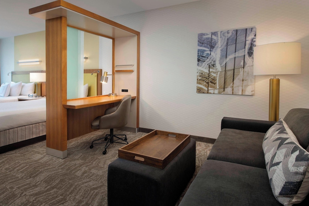 SpringHill Suites Alexandria - photo 7