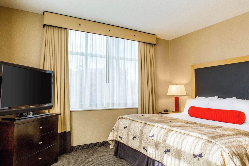 Cambria Hotel Raleigh Durham Airport - photo 18