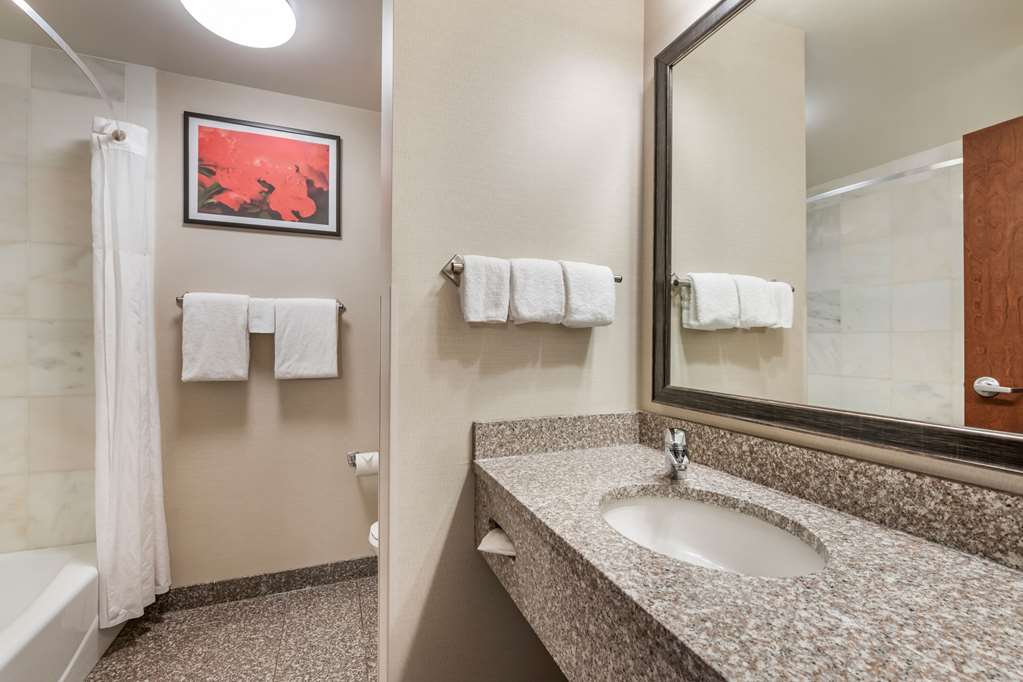 Drury Plaza Hotel Valdosta - photo 34