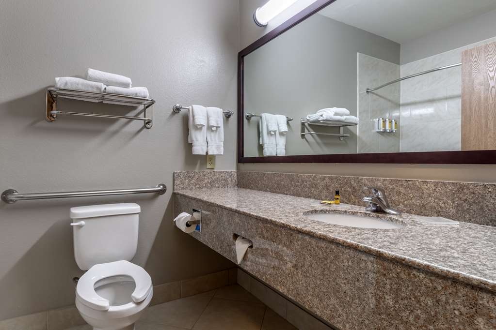 Best Western Plus Mansfield Inn & Suites - photo 42