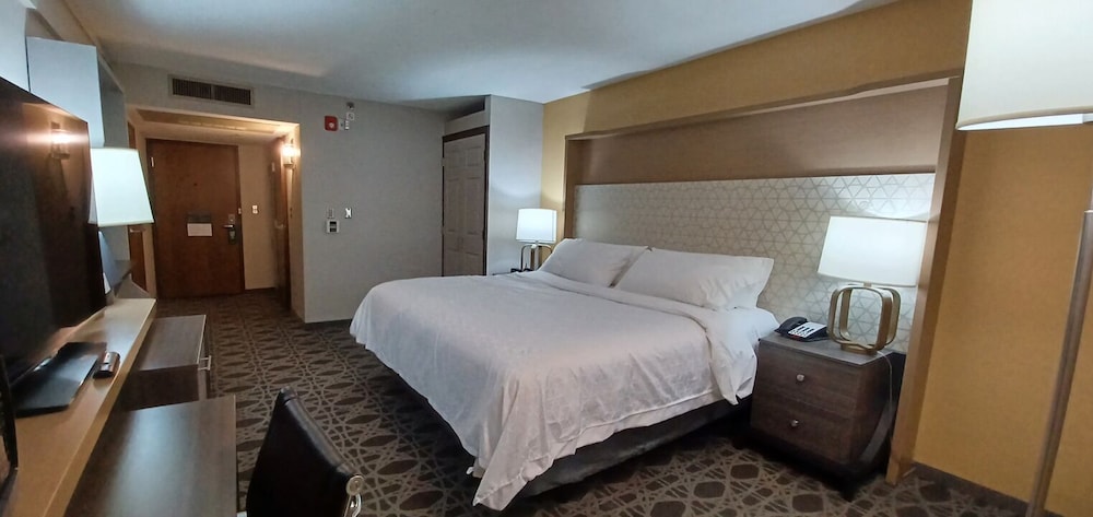 Holiday Inn McAllen Medical Center Area an IHG Hotel - photo 5