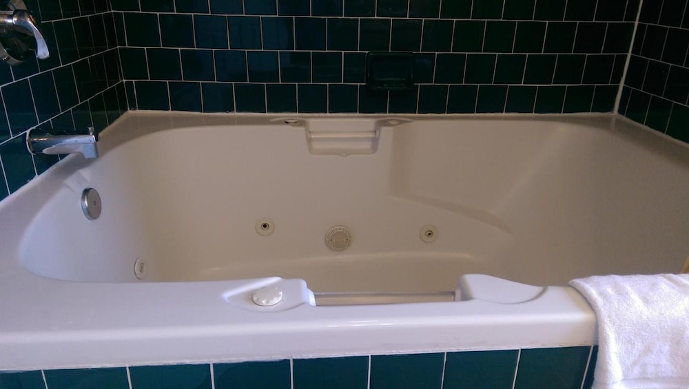 Holland Inn & Suites - photo 35
