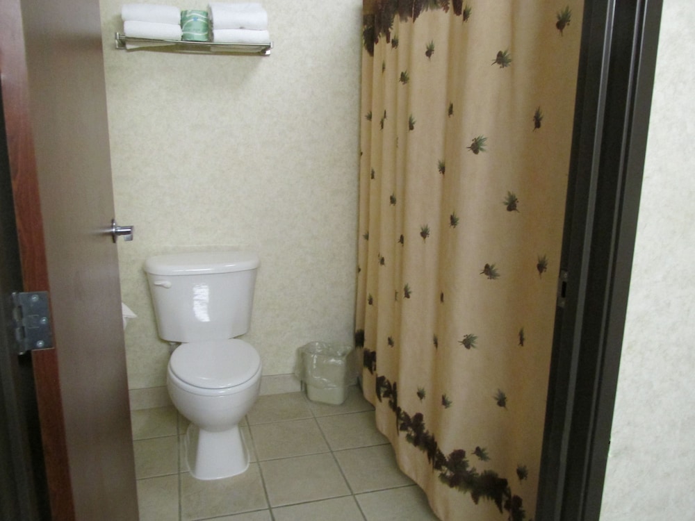 Kelly Inn & Suites Mitchell South Dakota - photo 16