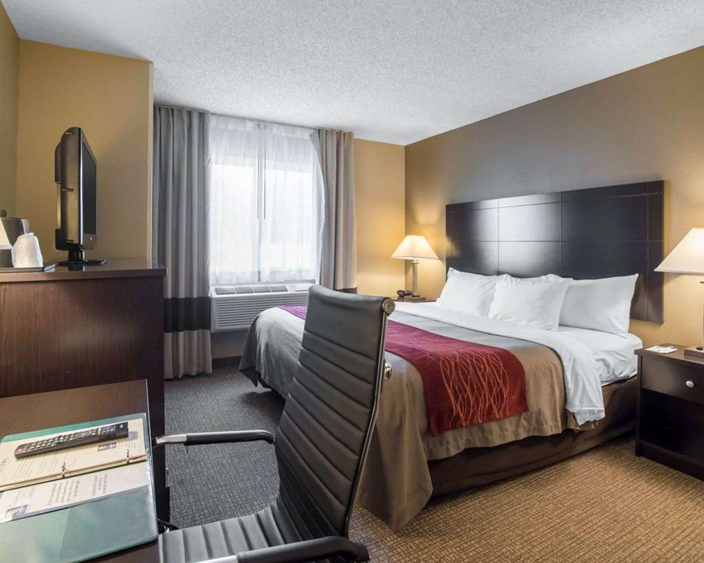 Comfort Inn Saugerties - photo 16