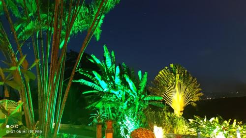 Concept Kreyol — 4-Star Luxury Hotel in Sainte-Rose, Guadeloupe