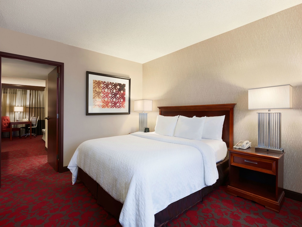 Embassy Suites by Hilton Dulles Airport - photo 13