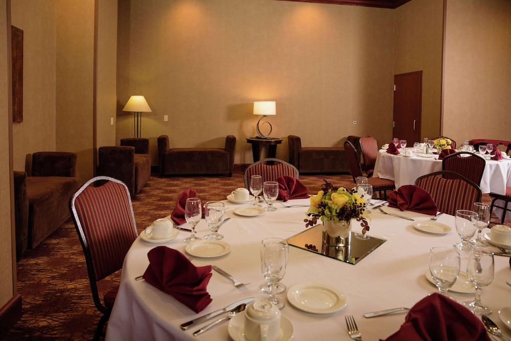 Embassy Suites by Hilton Minneapolis North - photo 49