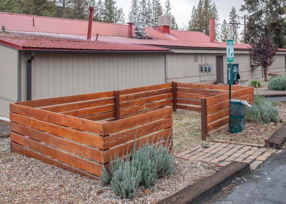 Buck Meadows Lodge - photo 35