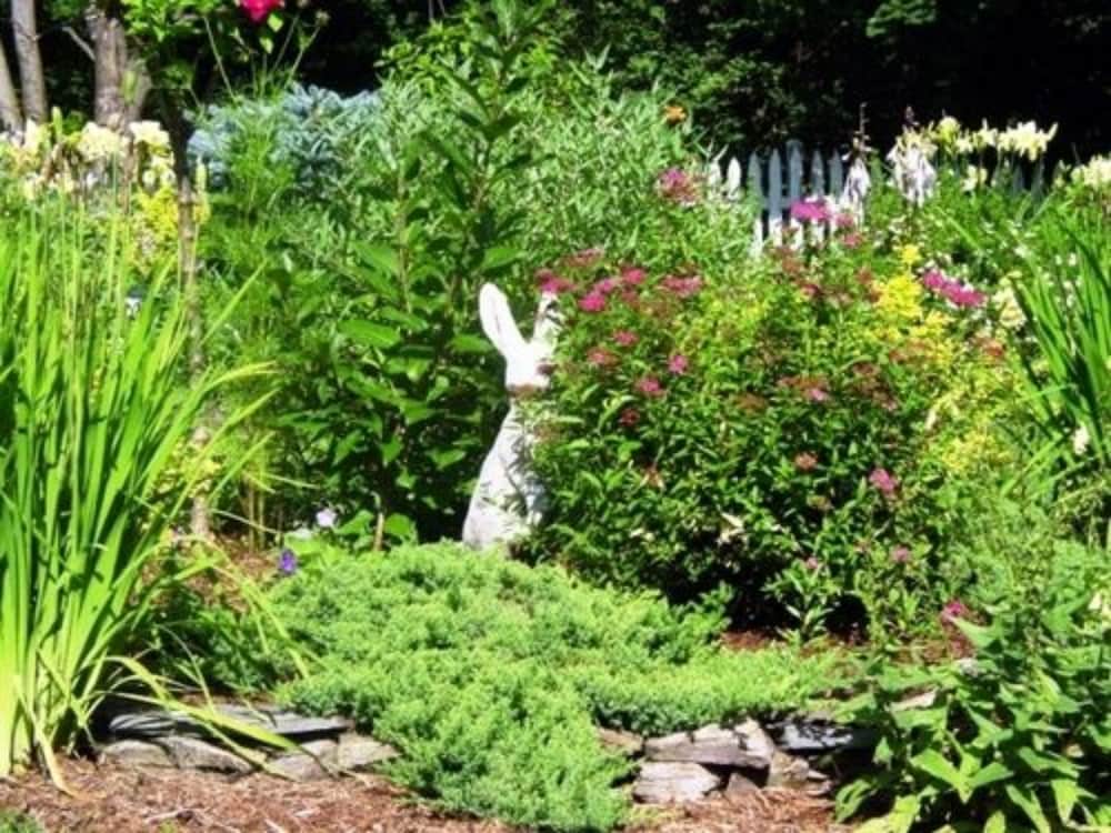 The Lilac Inn - photo 101