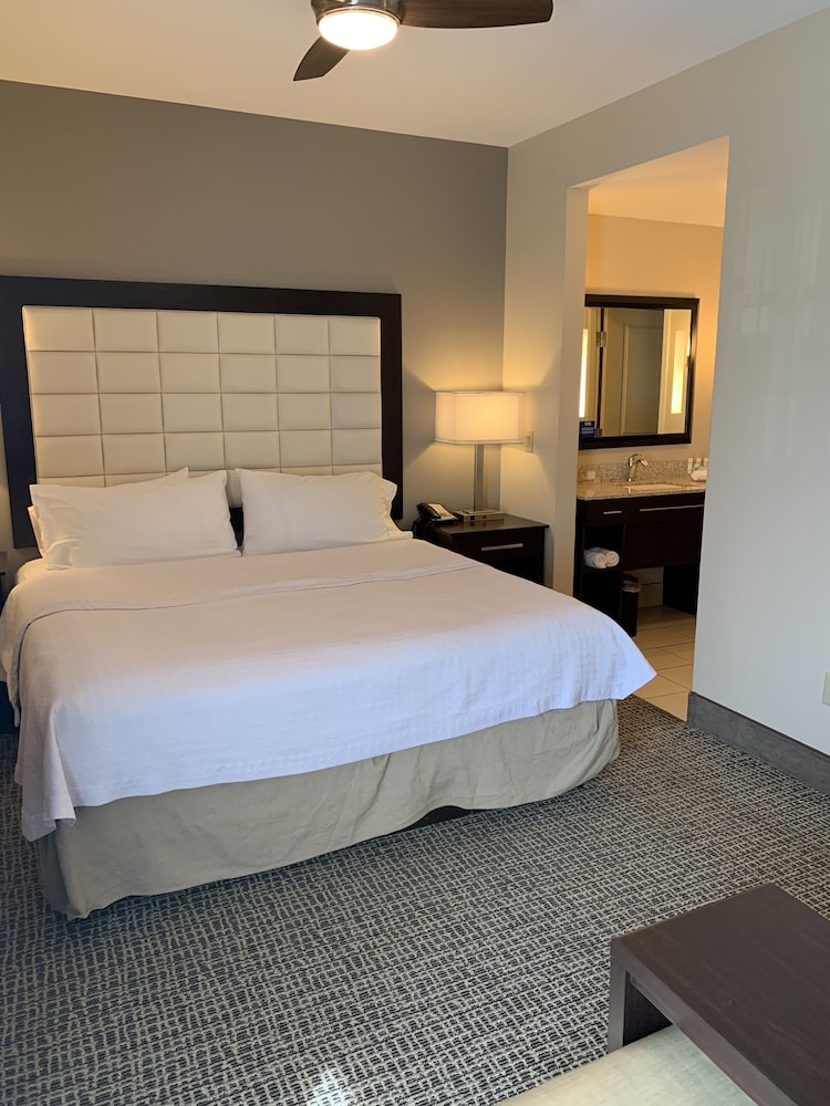 Homewood Suites by Hilton Munster - photo 6