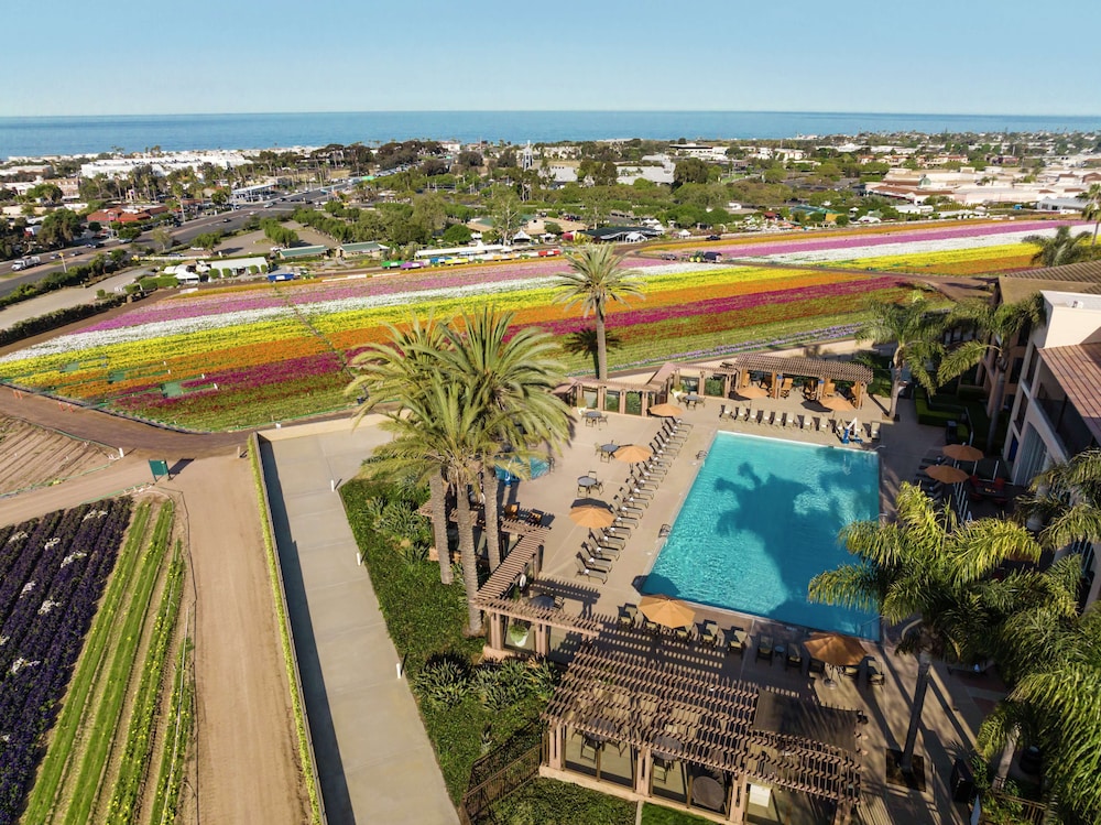 The Cassara Carlsbad Tapestry Collection by Hilton - photo 104