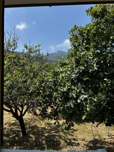 Da Davide in Marciana Marina, Italy