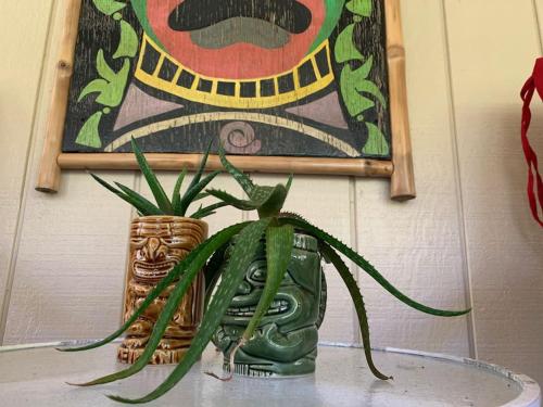 Hau'oli Place Tiki Cottage in Volcano — 4-Star Luxury Hotel in Volcano, United States