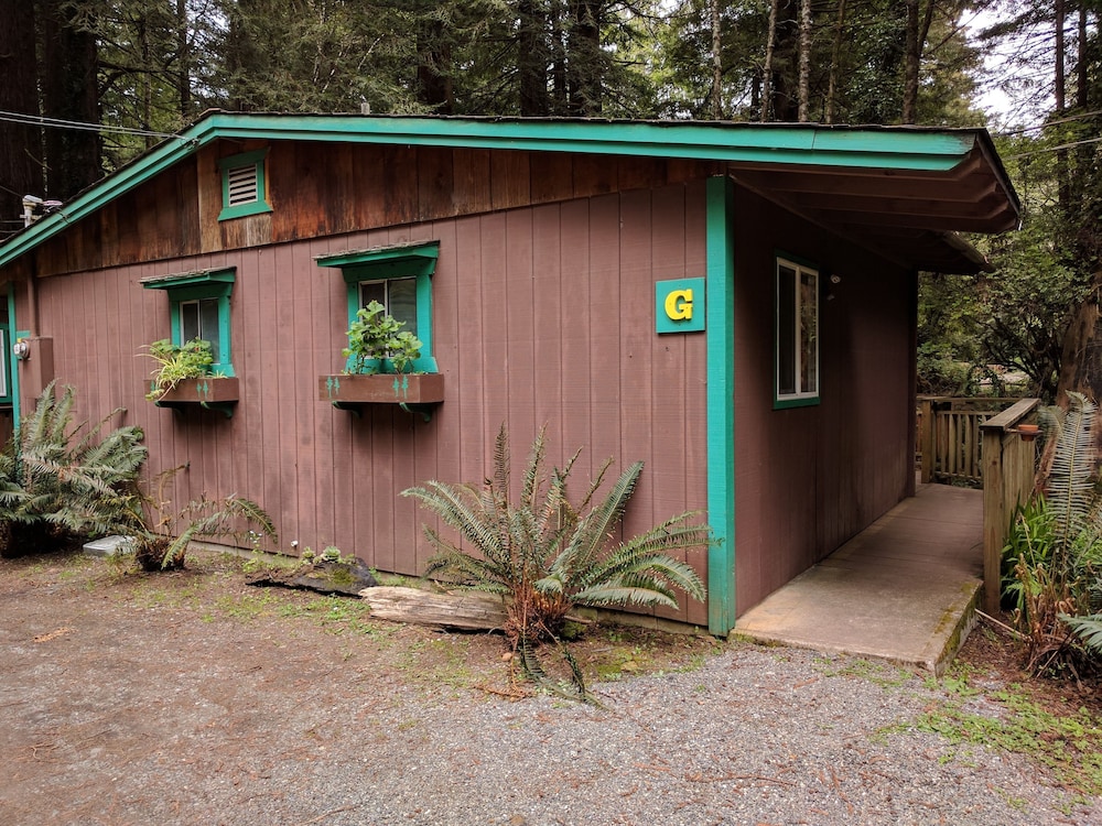 Emerald Forest Cabins - photo 161