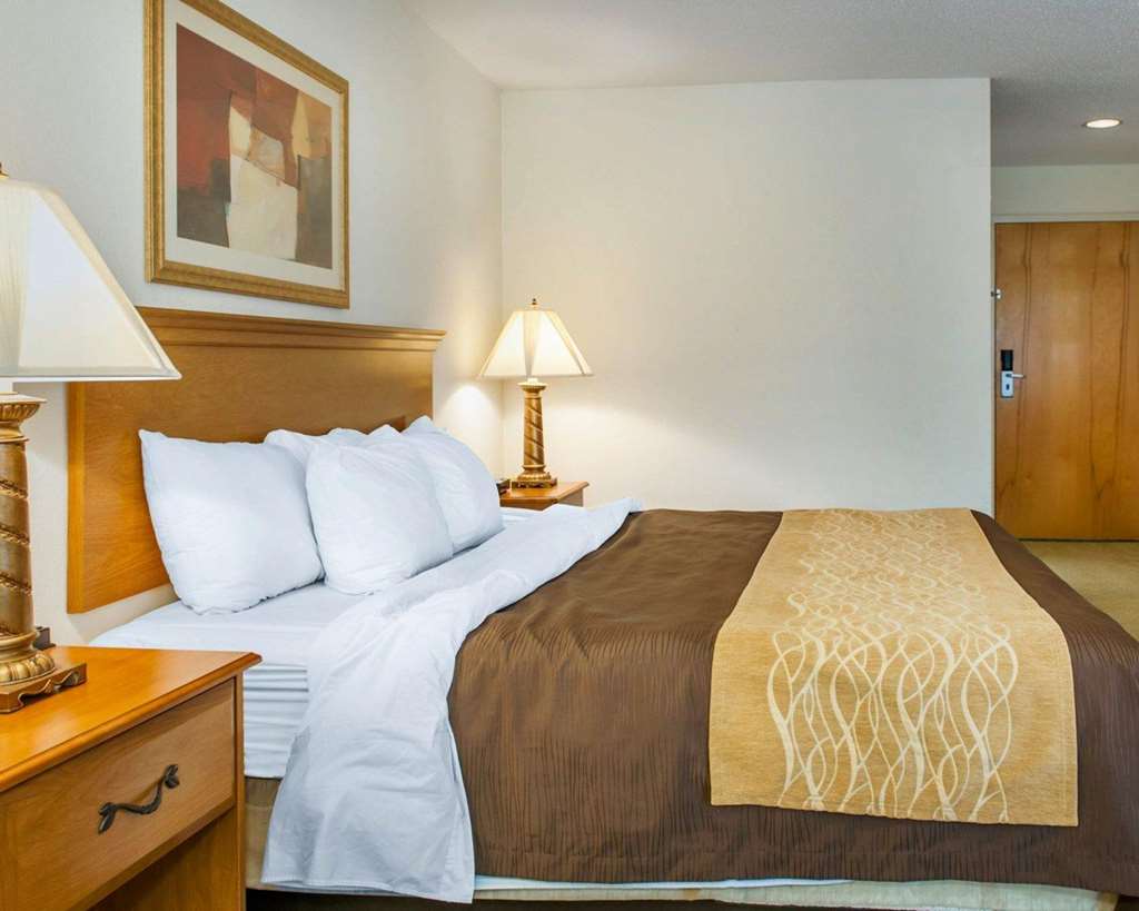 Quality Inn & Suites Near Amish Country - photo 7