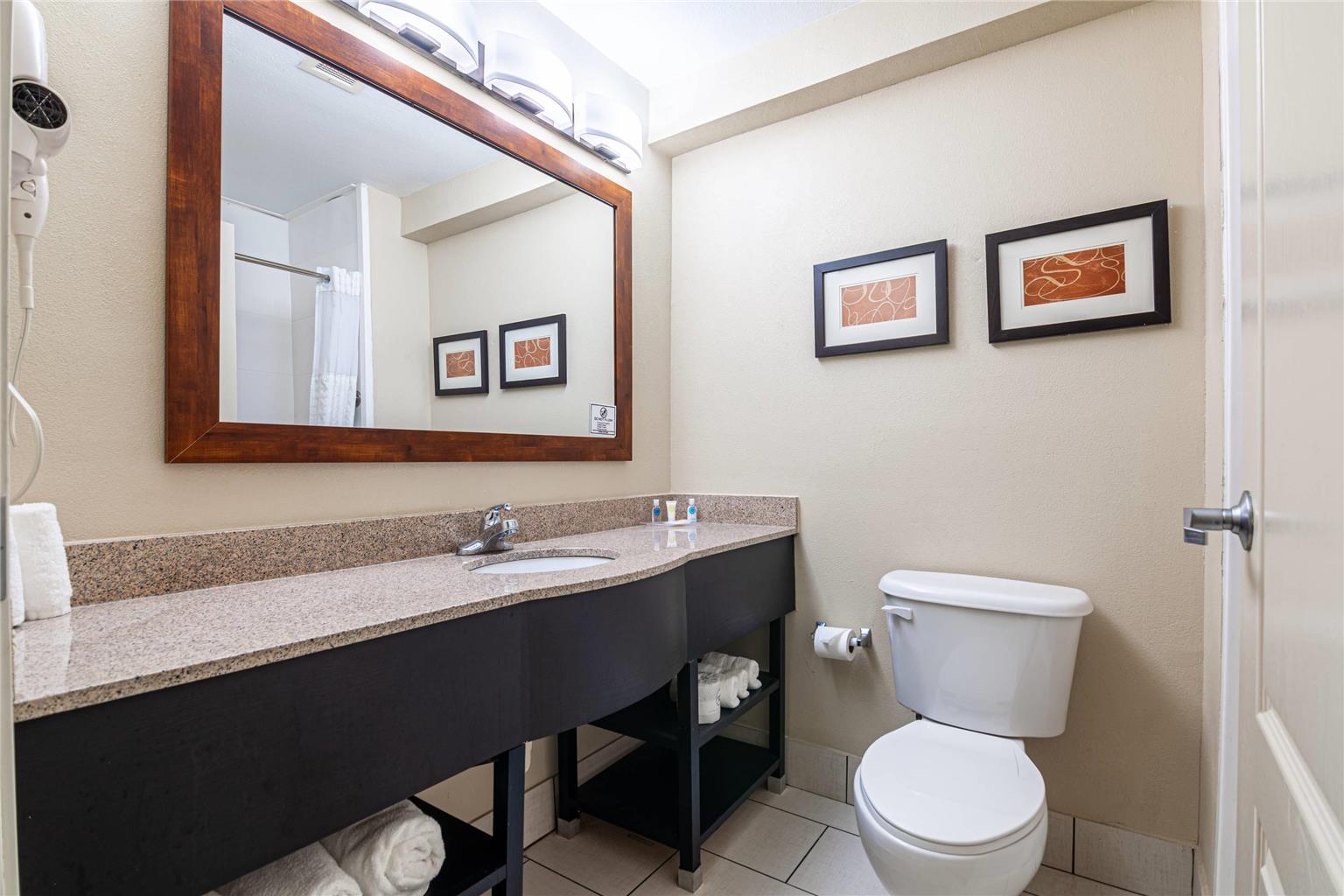 Comfort Suites Morrow Atlanta South - photo 8