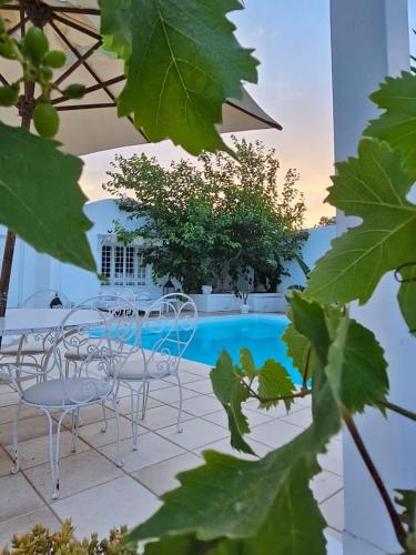 Dar LaVigne in Hammamet, Tunisia