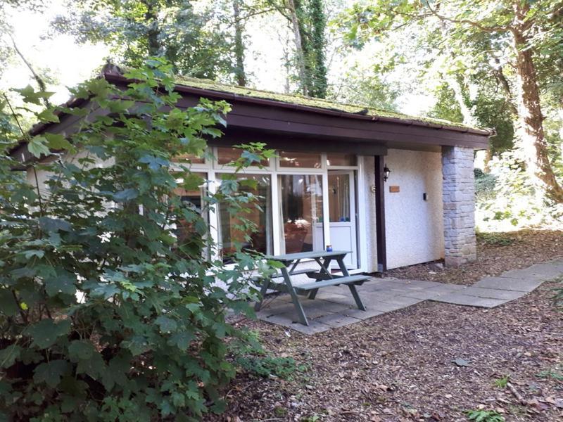 Woodland Retreat — hotel in Uny Lelant