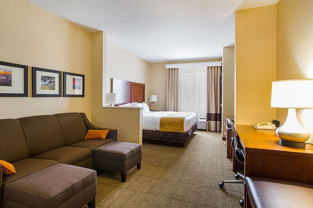 Comfort Suites Twinsburg - photo 38