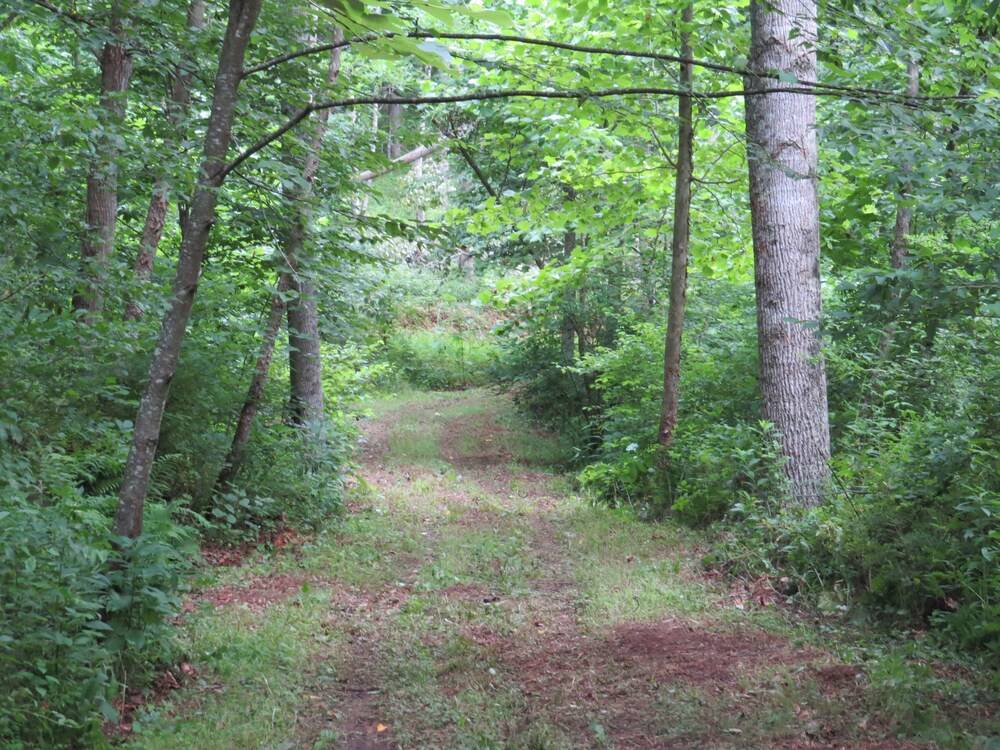 Southern Comfort Lakeside Cabin Resort - photo 53