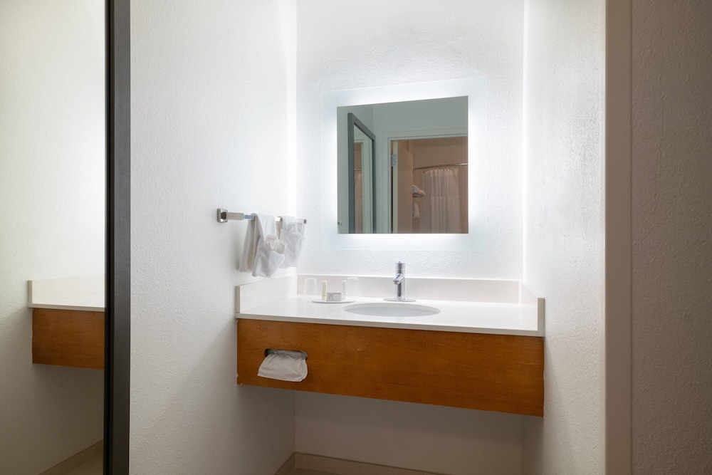 Springhill Suites by Marriott Williamsburg - photo 16