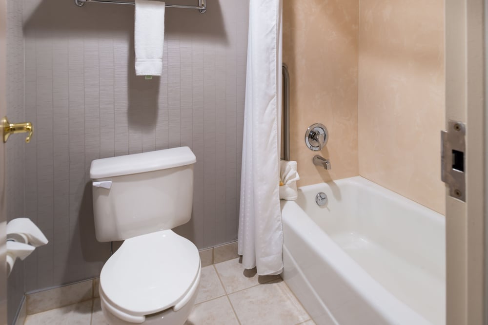 Holiday Inn Hotel & Suites Warren by IHG - photo 21