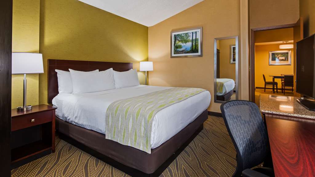 Best Western Gaylord - photo 26