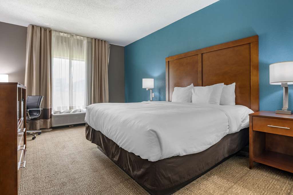 Comfort Inn Plainfield Indianapolis Airport - photo 8