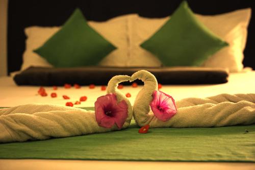 Palm Beach Resort Ceylon — 5-Star Luxury Hotel in Jaffna, Sri Lanka