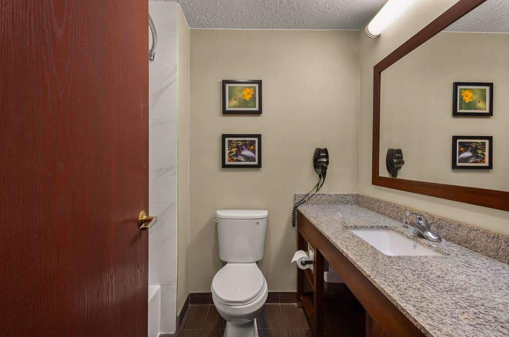 Comfort Inn Near Ouabache State Park - photo 42