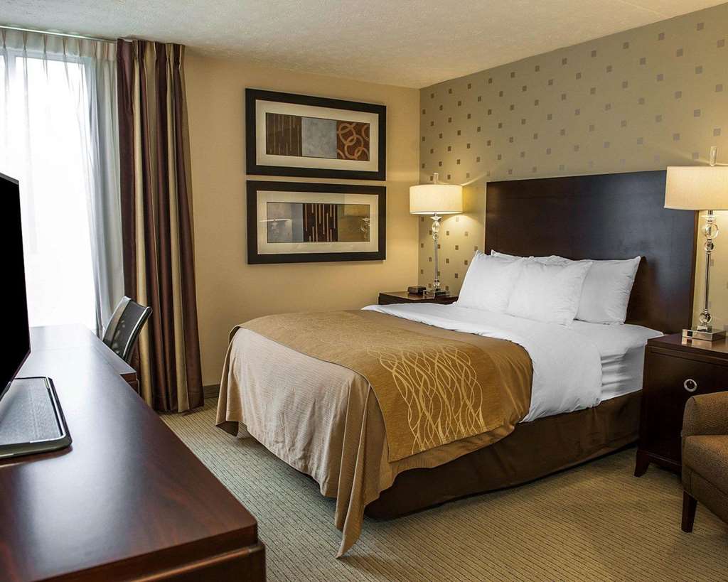 Comfort Inn Bloomington near University - photo 14