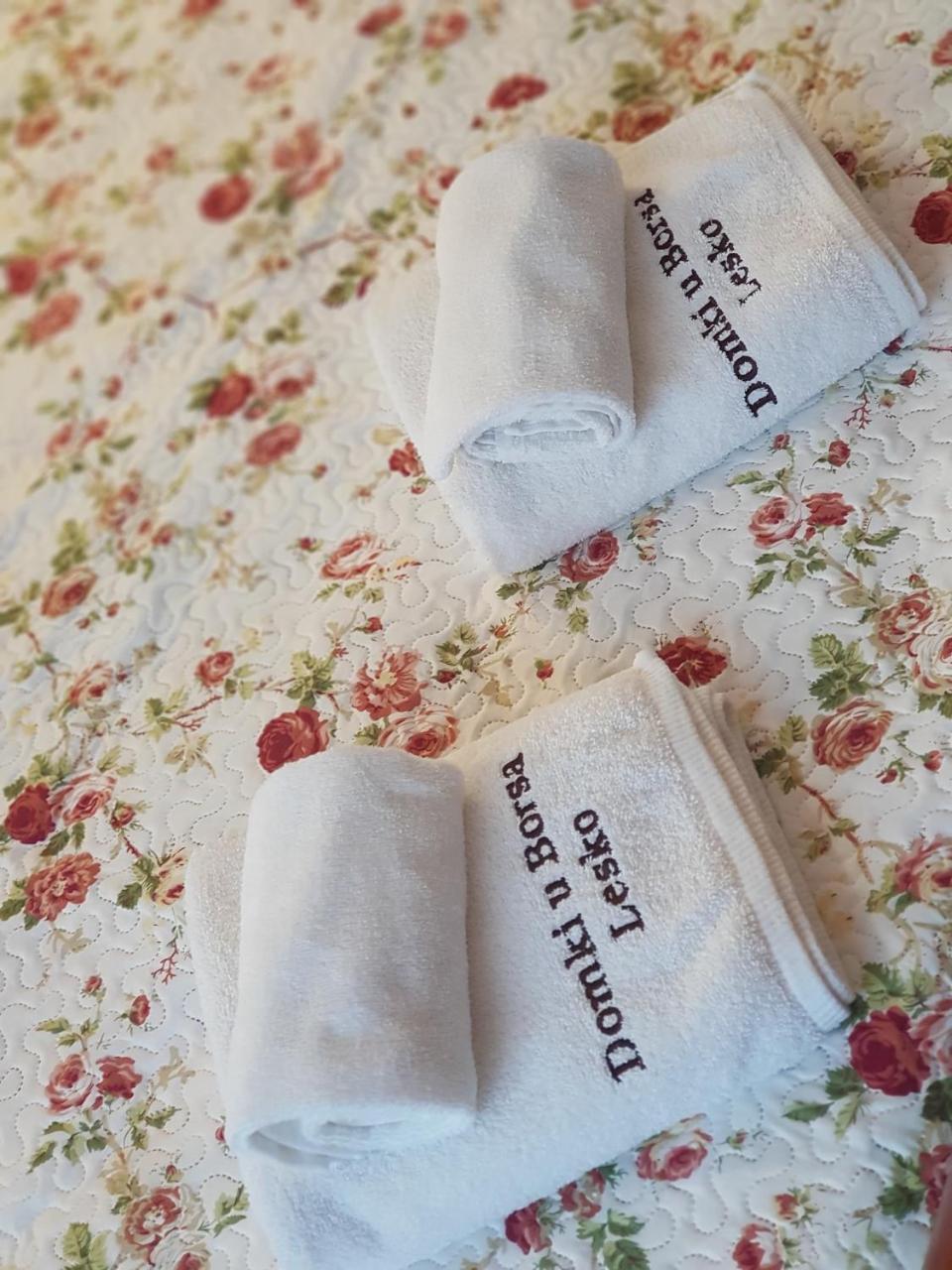 Domki I Pokoje U Borsa in Lesko, Poland