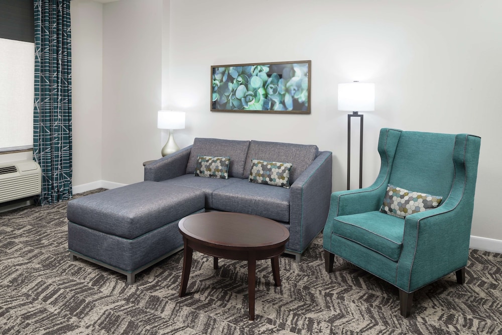 Hilton Garden Inn DFW North Grapevine - photo 24