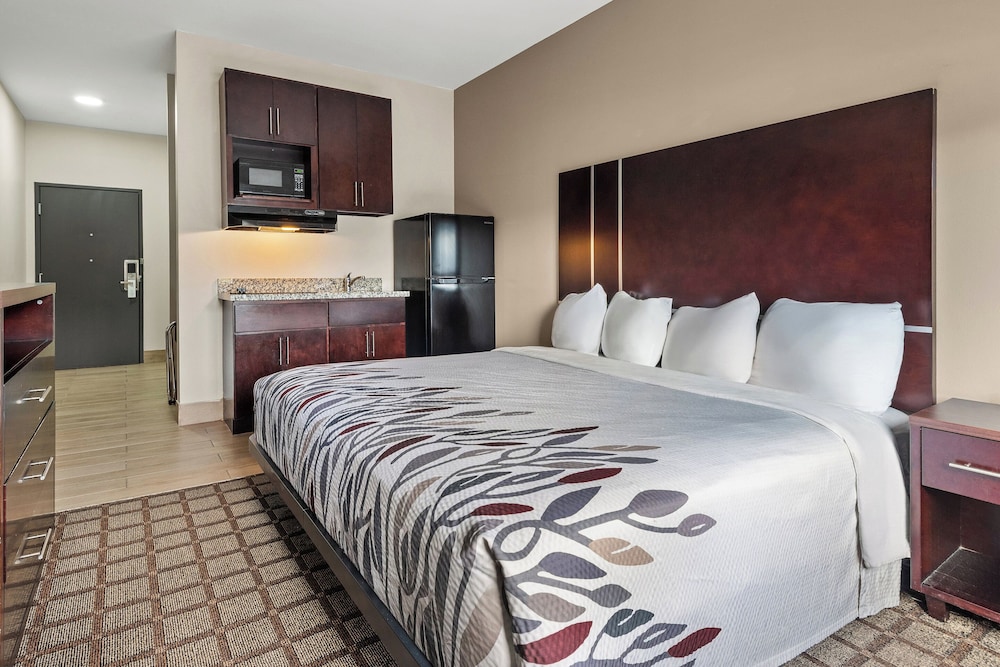 Baymont by Wyndham Baton Rouge - photo 22