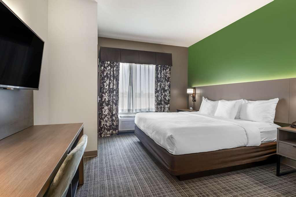 Comfort Suites Conference Center Rapid City - photo 17