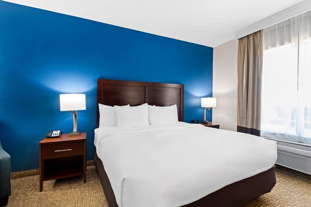 Comfort Inn & Suites Near Lake Lewisville - photo 8