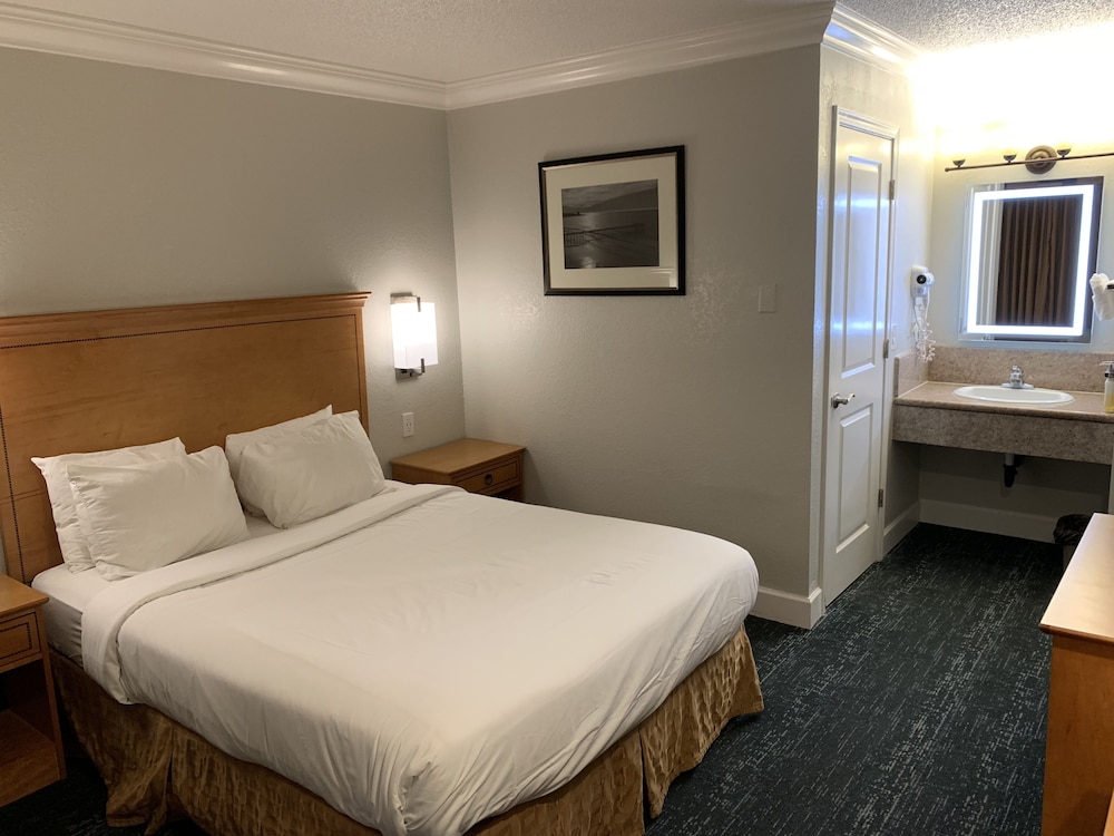 Stargazer Hotel - photo 9