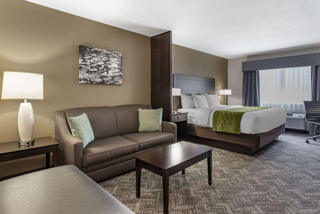 Comfort Inn & Suites Tualatin Lake Oswego South - photo 19