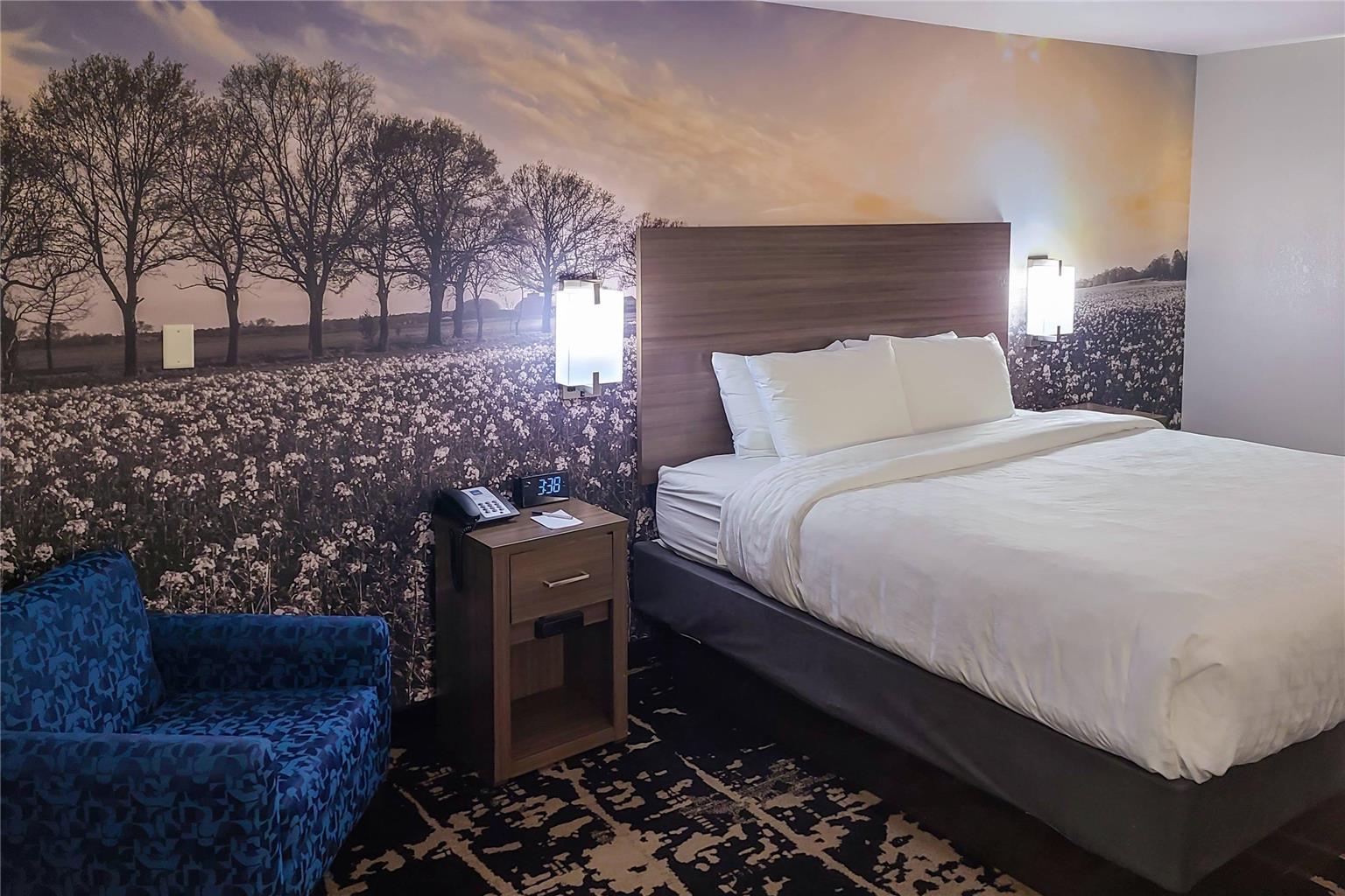 Clarion Pointe Bettendorf Quad Cities - photo 10