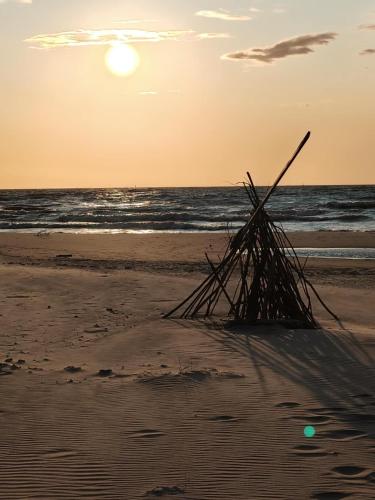 Pokoje U Słonia in Stegna, Poland
