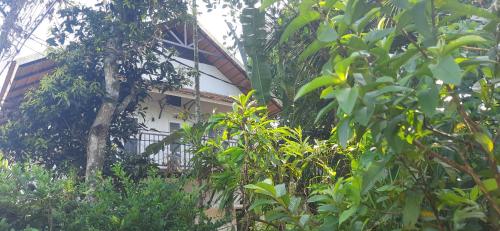 Homestay DGH — 4-Star Luxury Hotel in Alleppey, India