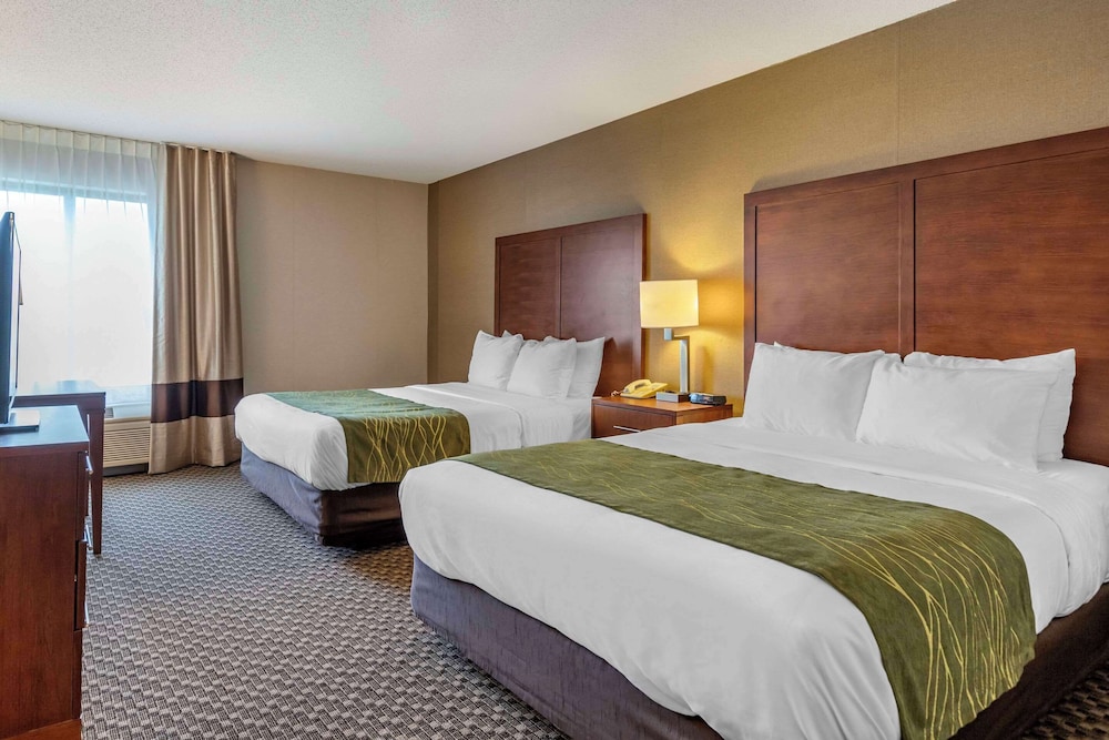 Comfort Inn Charlotte - photo 14