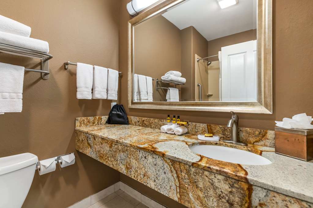 Best Western Plus Lytle Inn & Suites - photo 20