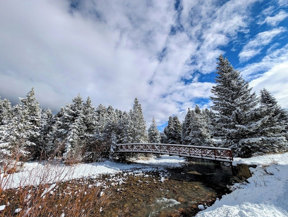 Cinnamon Ridge Hotel - photo 48