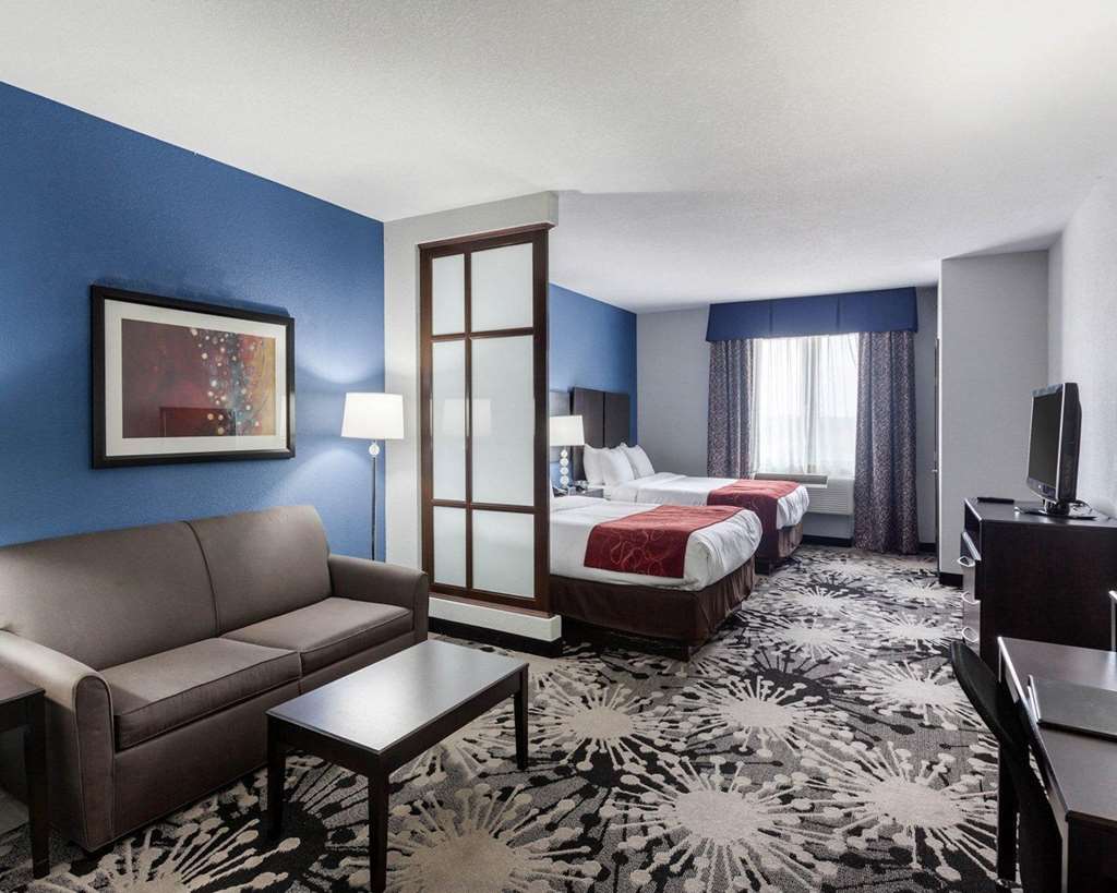 Comfort Suites Greenville - photo 17
