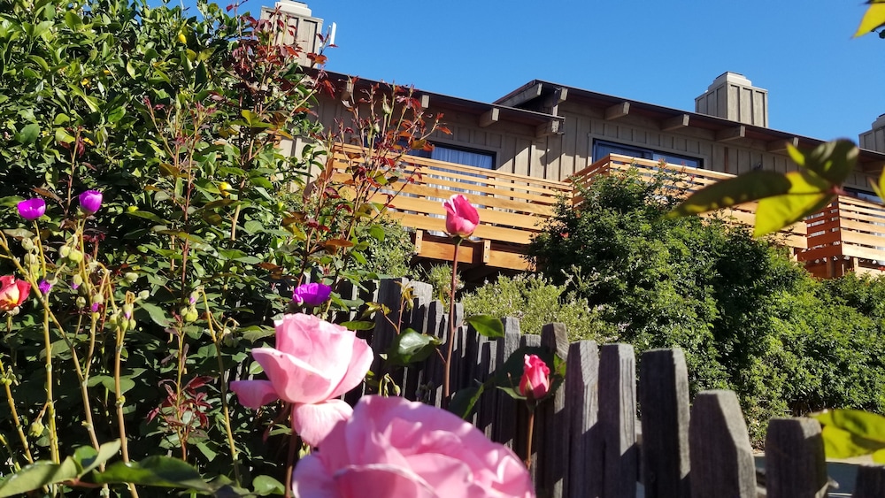 Carmel Valley Lodge and Resort - photo 37