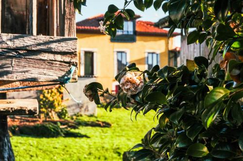 La Casona de Faedo Pensión in Cudillero, Spain