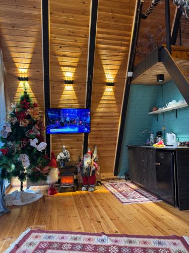 Cottage Sataplia